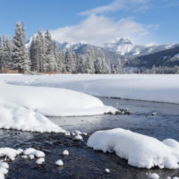 Paysages du Yellowstone en hiver
